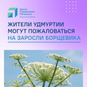 В Удмуртии продолжат бороться с борщевиком.